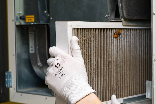 Best Affordable Duct Cleaning Services  in Somerset, MD